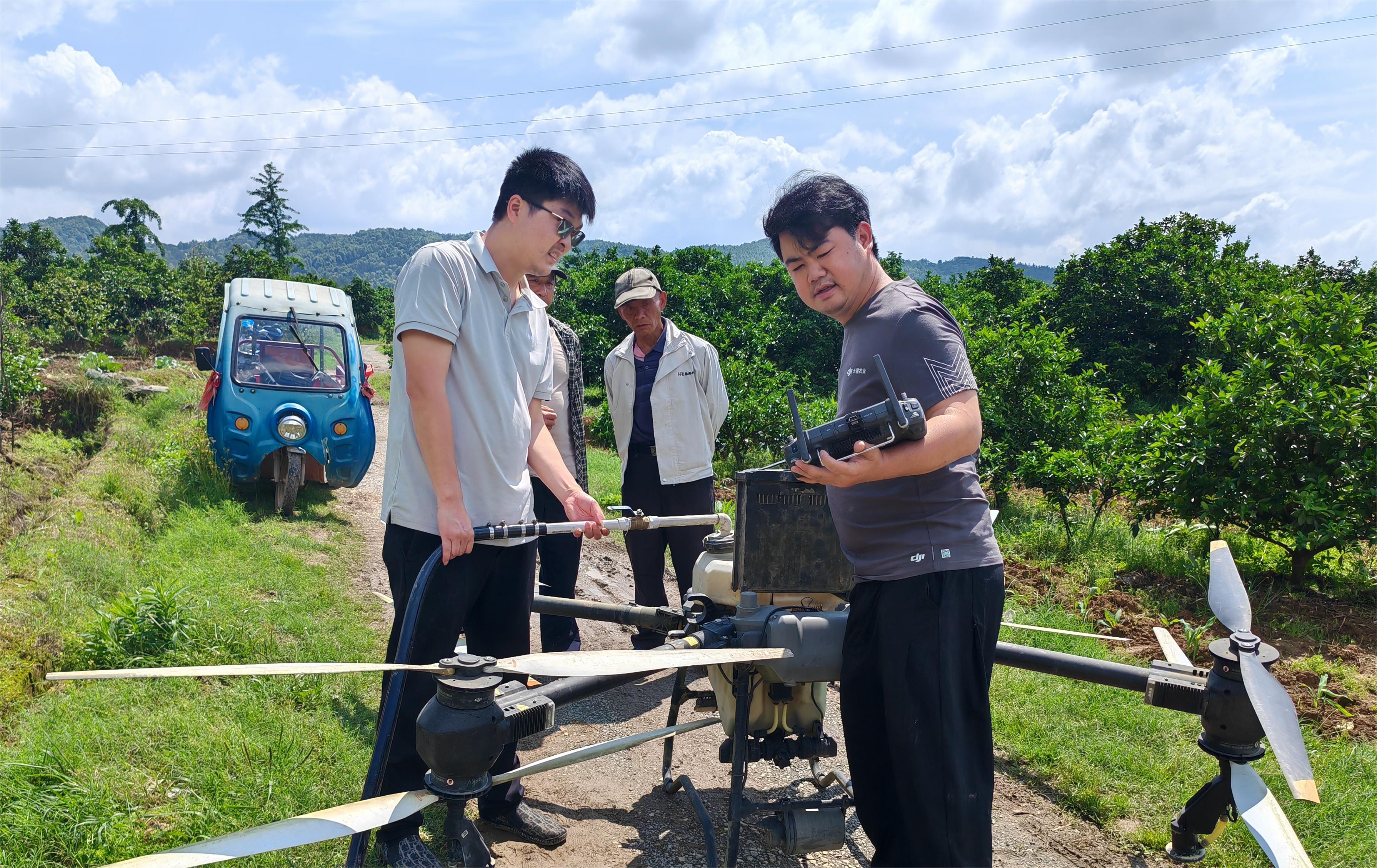 5天3萬+畝!中電金駿植保飛防隊支援新寧縣柑橘重大病蟲害防控工作! 5天3萬+畝!中電金駿植保飛防隊支援新寧縣柑橘重大病蟲害防控工作!